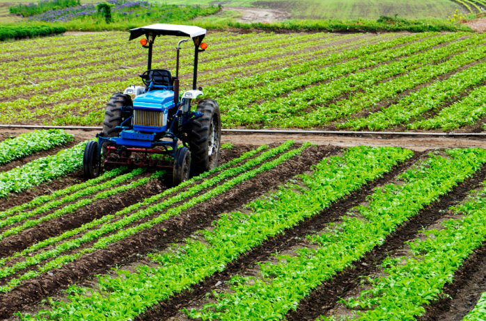  Prestazioni lavoro subordinato occasionale settore agricolo - Aggiornamento modello UNILAV